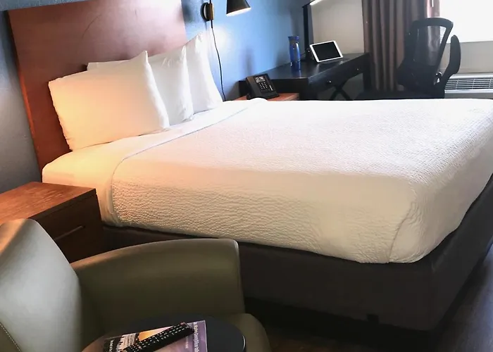 Hotel Focus Sfo